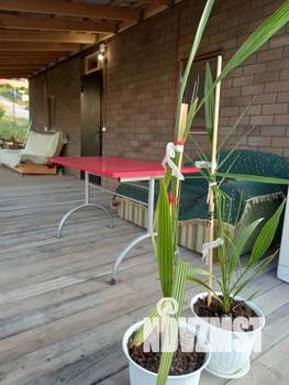 Дом 40м², 1-этажный, посуточно,