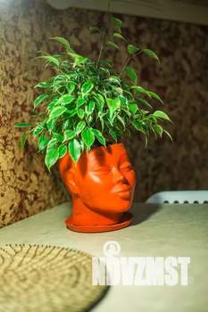 Дом 45м², 2-этажный, посуточно,