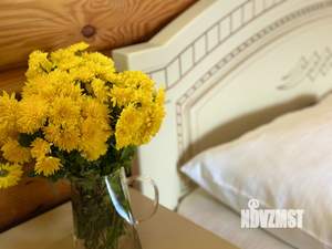 Дом 48м², 2-этажный, посуточно,