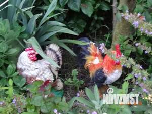 Дом 28м², 2-этажный, посуточно,