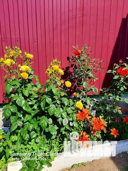 Дом 36м², 1-этажный, посуточно,