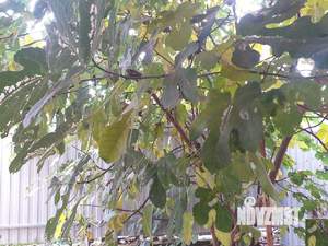 Таунхаус 90м², 2-этажный, на длительный срок,