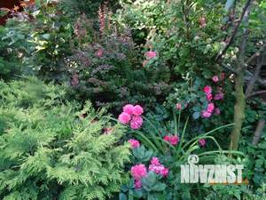 Дом 28м², 2-этажный, посуточно,