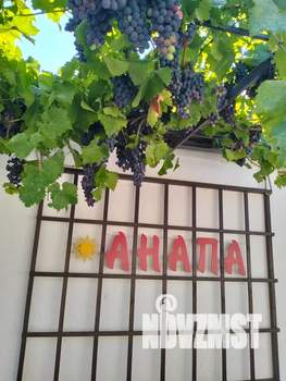 Дом 42м², 1-этажный, посуточно,