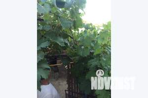 Дом 80м², 2-этажный, посуточно,