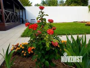 Дом 51м², 2-этажный, посуточно,