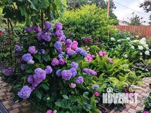 Дом 30м², 2-этажный, посуточно,