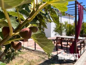 Дом 40м², 1-этажный, посуточно,