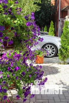 Дом 63м², 1-этажный, посуточно,