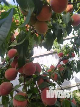 Дом 85м², 2-этажный, участок 8 сот.