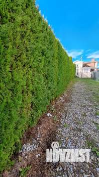 Дом 155м², 2-этажный, участок 5 сот.