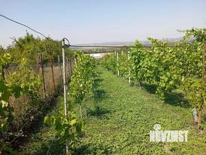 Дом 20м², 2-этажный, участок 10 сот.