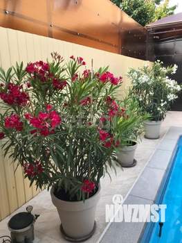 Дом 220м², 2-этажный, участок 4 сот.