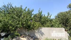 Дом 209м², 2-этажный, участок 3 сот.