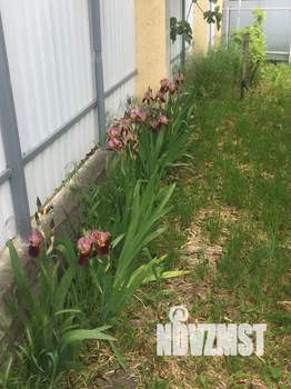 Дом 120м², 2-этажный, участок 8 сот.