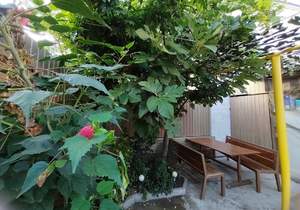 Дом 200м², 2-этажный, участок 4 сот.