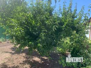 Дом 34м², 2-этажный, участок 5 сот.