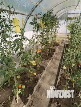 Дом 85м², 2-этажный, участок 8 сот.