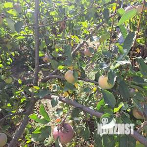 Дом 141м², 2-этажный, участок 10 сот.