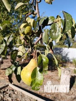 Дом 85м², 2-этажный, участок 8 сот.