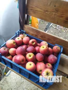 Дом 85м², 2-этажный, участок 8 сот.