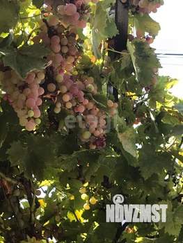 Дом 220м², 2-этажный, участок 4 сот.