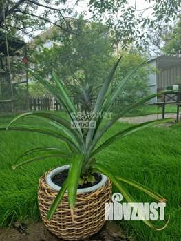 Дом 210м², 2-этажный, участок 7 сот.