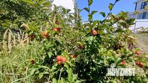 Дом 150м², 2-этажный, участок 10 сот.