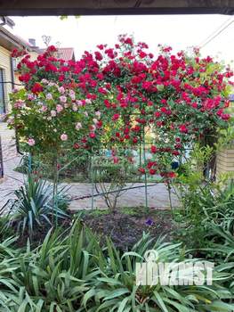 Коттедж 123м², 2-этажный, участок 7 сот.