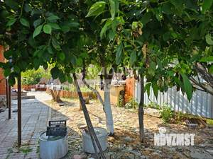 Дом 100м², 1-этажный, участок 15 сот.