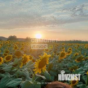 Дача 50м², 1-этажный, участок 5 сот.