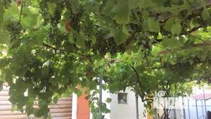 Дом 120м², 2-этажный, участок 8 сот.