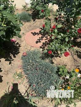 Дом 146м², 2-этажный, участок 3 сот.