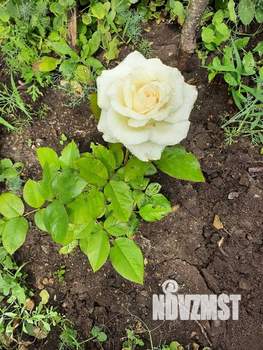 Дом 25м², 2-этажный, участок 27 сот.