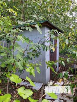 Дача 30м², 1-этажный, участок 5 сот.