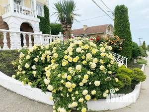 Коттедж 300м², 3-этажный, участок 8 сот.