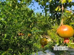 Дом 287м², 2-этажный, участок 8 сот.