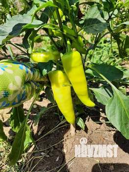 Дом 25м², 2-этажный, участок 27 сот.