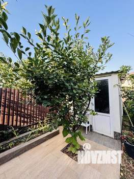 Дом 130м², 2-этажный, участок 5 сот.