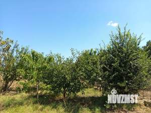 Дом 101м², 1-этажный, участок 8 сот.