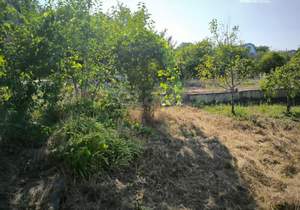 Дача 24м², 2-этажный, участок 9 сот.