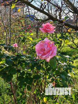 Дом 125м², 2-этажный, участок 8 сот.