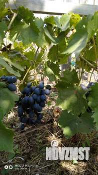 Дом 117м², 2-этажный, участок 6 сот.