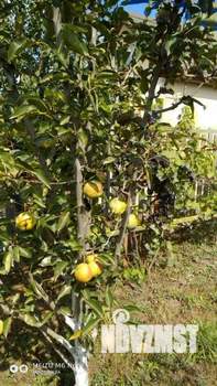 Дом 117м², 2-этажный, участок 6 сот.