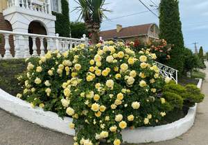 Дом 300м², 3-этажный, участок 0 сот.