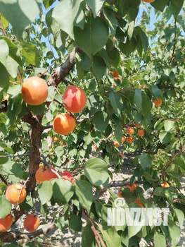 Дом 132м², 2-этажный, участок 7 сот.