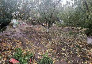 Дом 121м², 1-этажный, участок 9 сот.