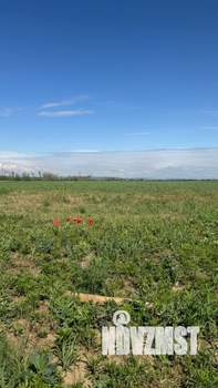 Дом 115м², 1-этажный, участок 5 сот.