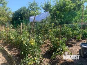 Дом 34м², 2-этажный, участок 5 сот.