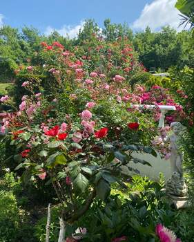 Дом 300м², 3-этажный, участок 0 сот.